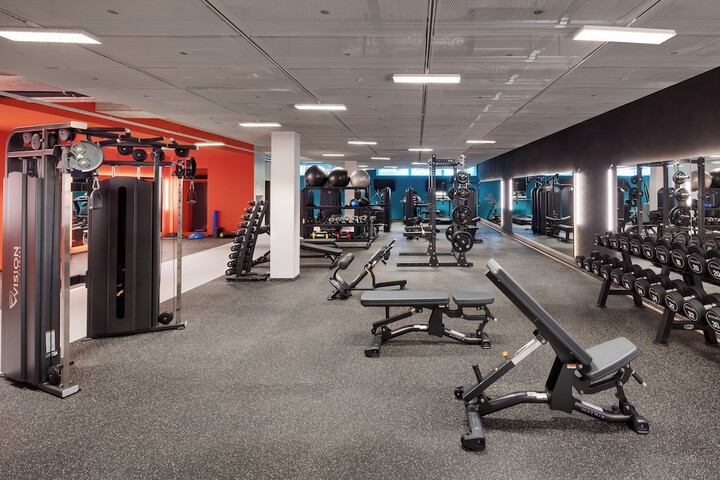 Gym & Fitness