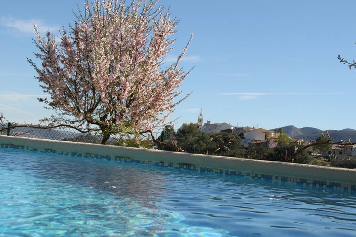 Pool 10 of 16