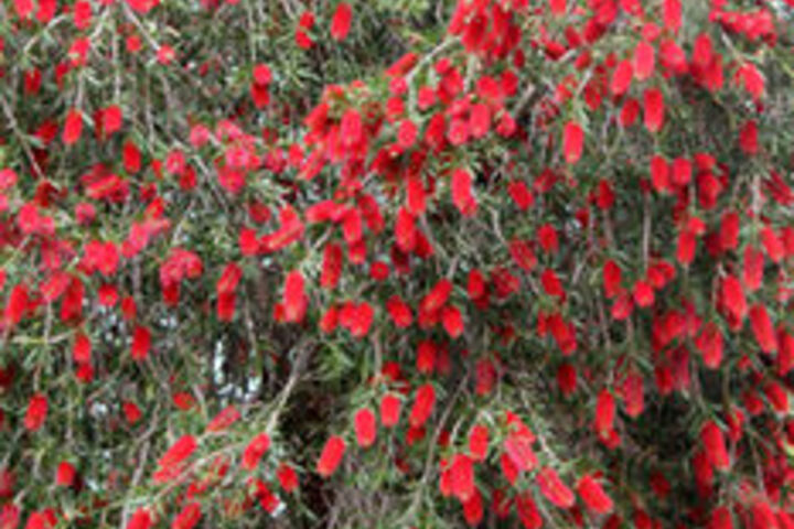 Hotel Exterior 38 of 111