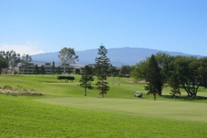 Golf 8 of 29