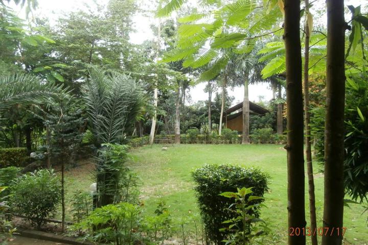 Photo 22