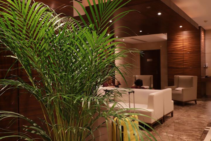 Guest Lobby