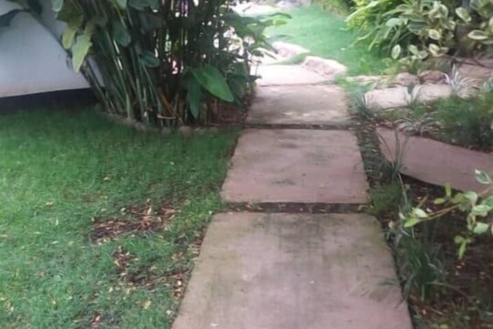 Property Grounds 38 of 51