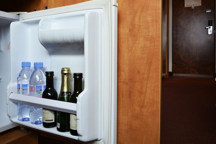 Mini-refrigerator