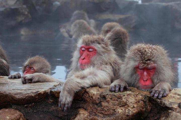 Nishihoppo Onsen Hotel
