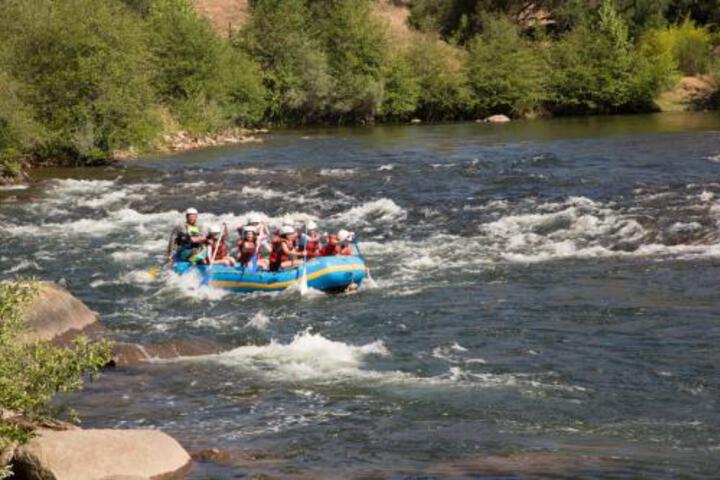 Image of Ponderosa Camping Resort Cabin 5