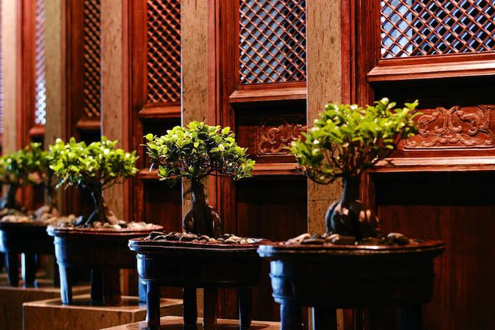 Dining 47 of 98