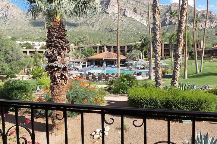 View from room