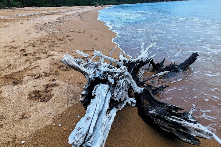 Beach 108 of 132