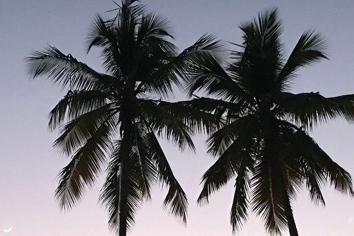 Beach 109 of 144