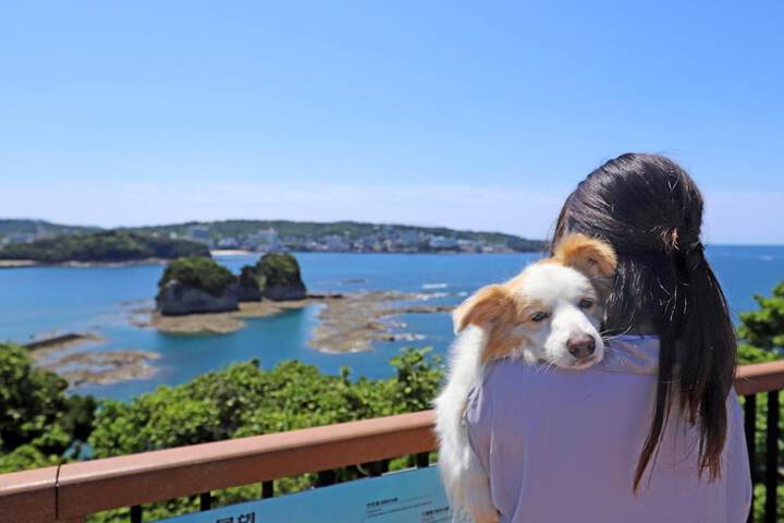 Pet Friendly 39 of 71