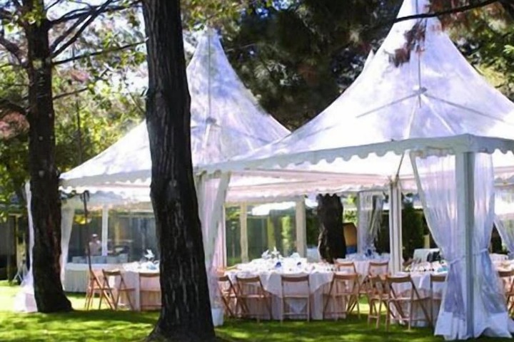 Wedding/Banquet 41 of 52
