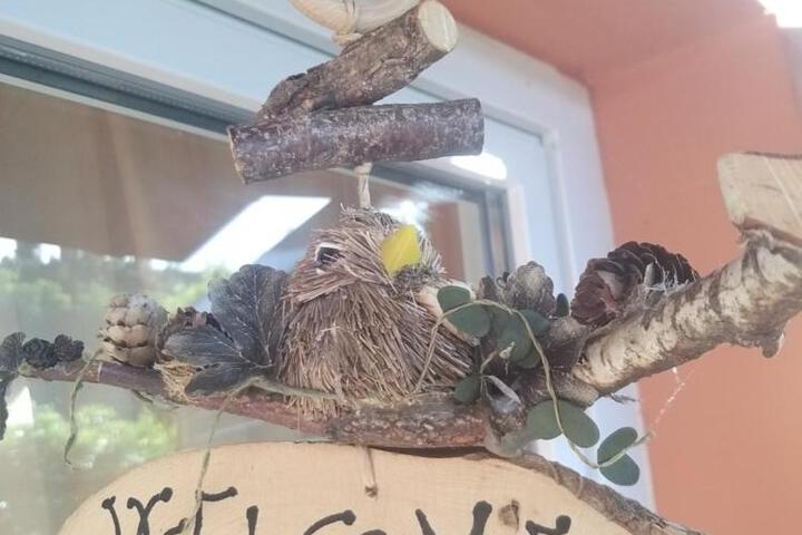 Spa and Wellness Pictures