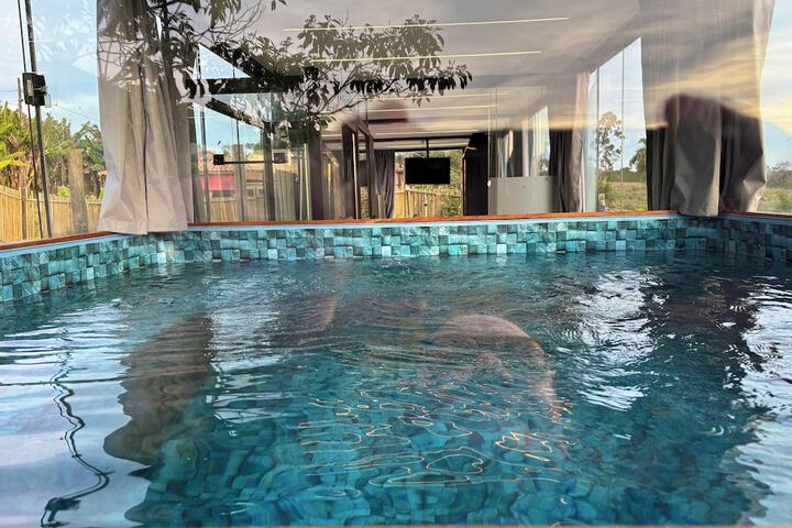 Pool 264 of 356