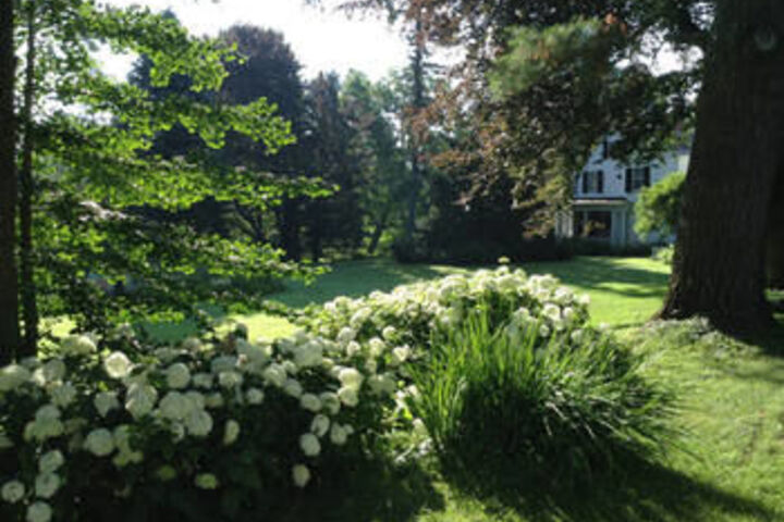 Property Grounds 57 of 62