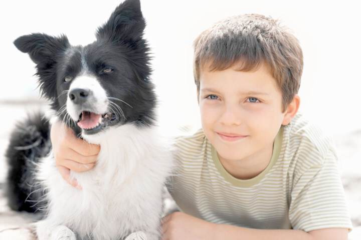 Pet Friendly 82 of 102