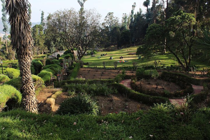ALEGRIA KODAIKANAL