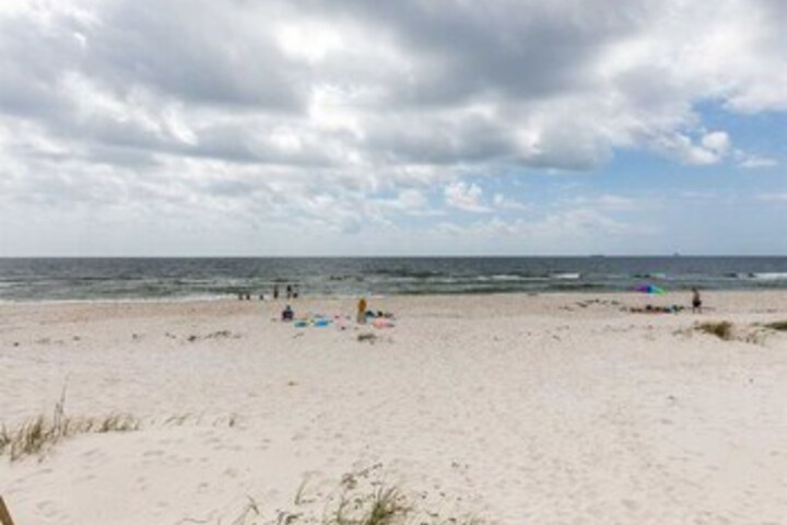 Beach 31 of 99