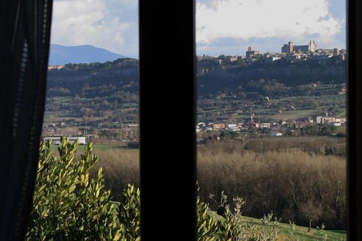 View from room