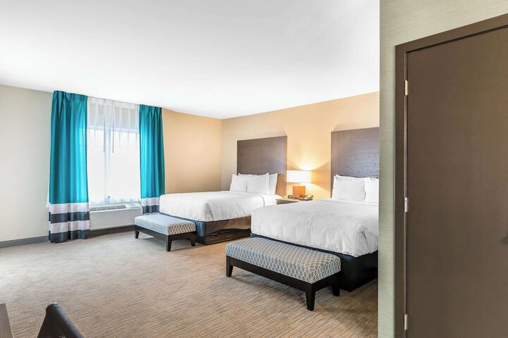 2 Queen Beds (8 of 19)