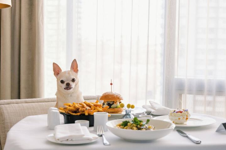 Pet-friendly