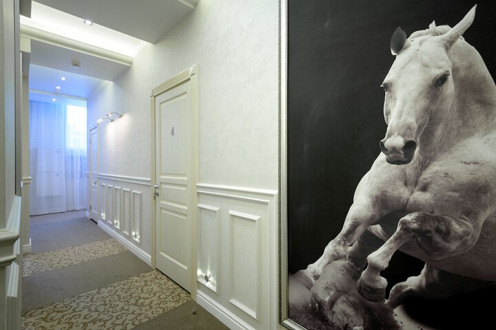 Silver Horse Boutique Hotel in Novosibirsk