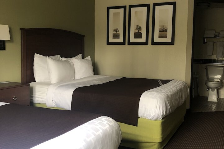 Quadruple Accessible Queen Size Bed (7 of 18)