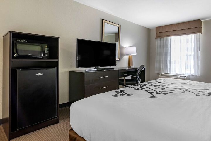 1 King Bed (12 of 17)