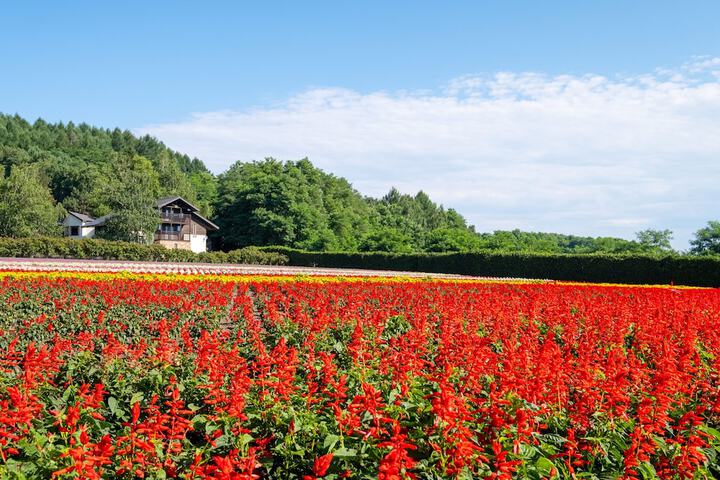Land view from property