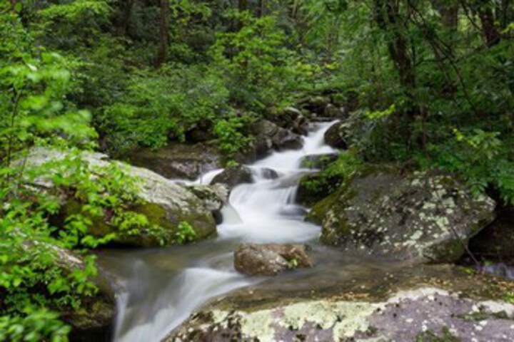 Property Grounds 143 of 173