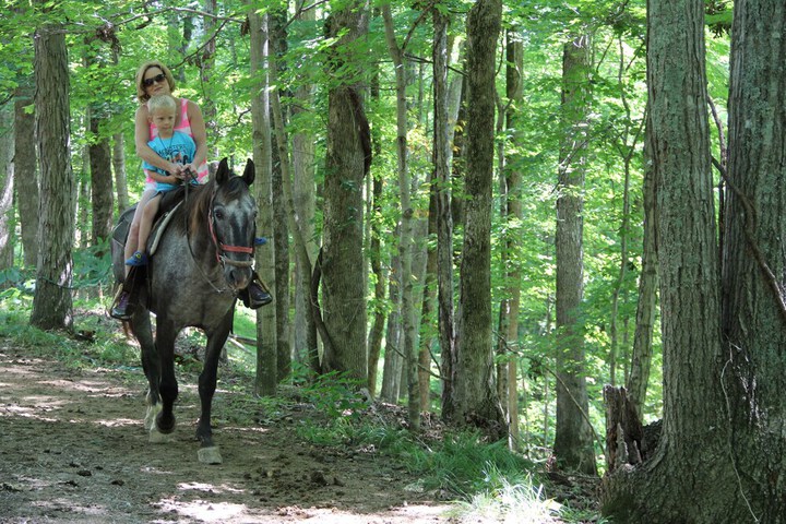 Property Grounds 64 of 74