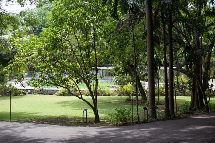 Property Grounds 243 of 264