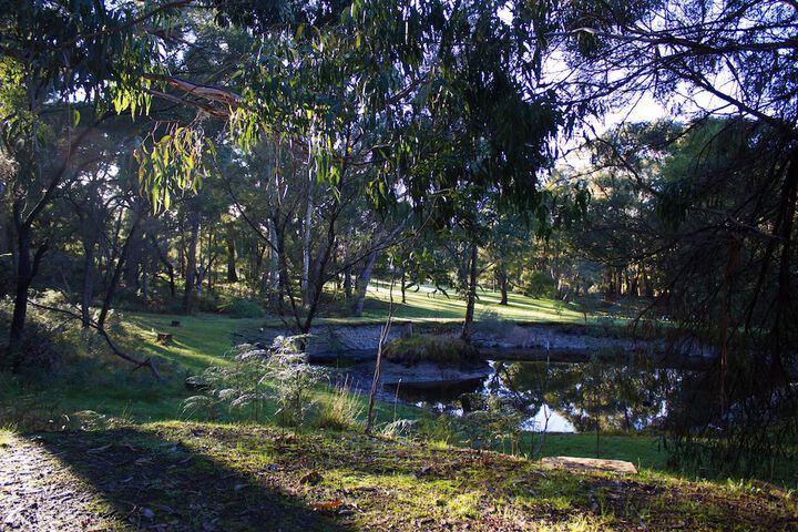 Property Grounds 21 of 36