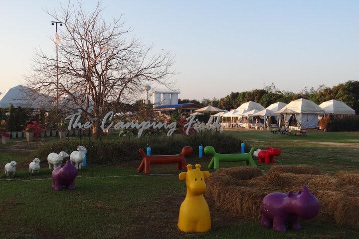 The Camping Field