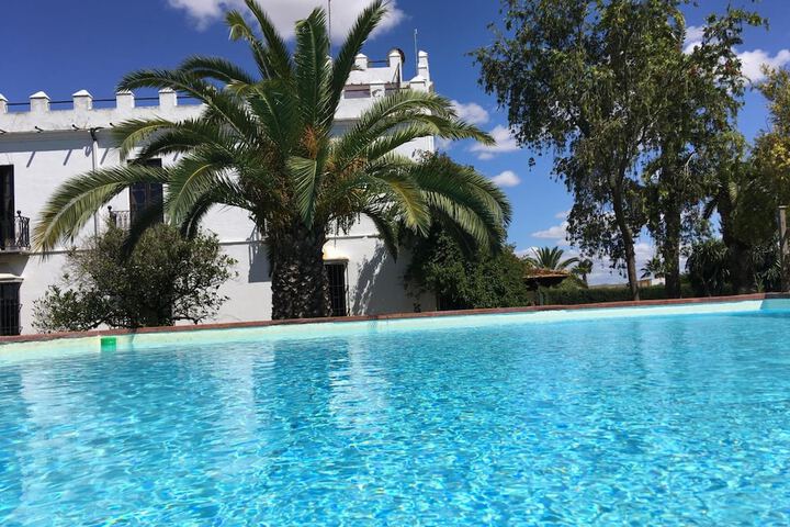 Pool 16 of 45