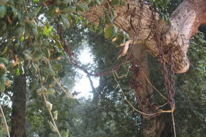 Property Grounds 67 of 75