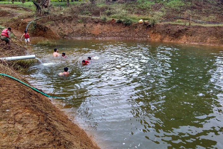 Pool 33 of 169
