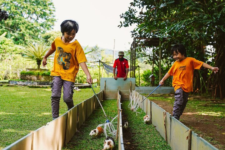 Children's activities