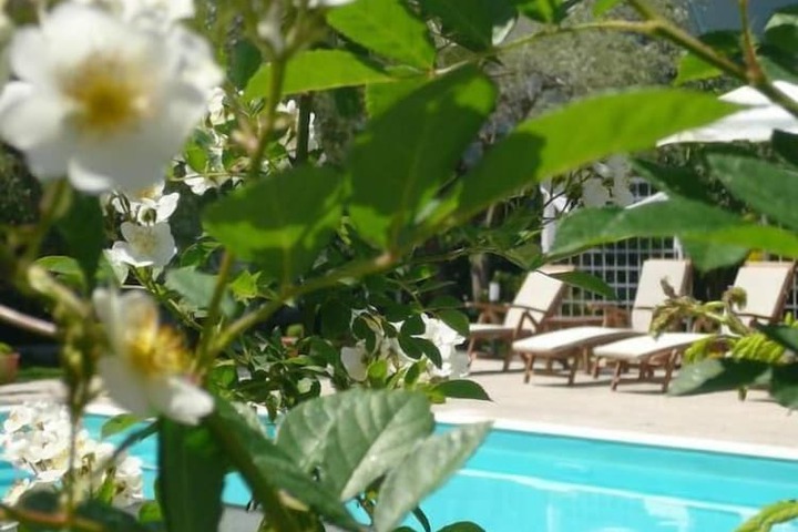 Pool 38 of 57