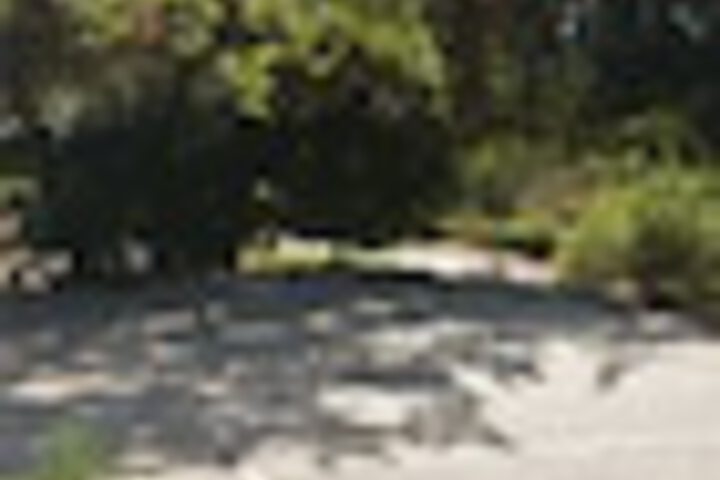 Property Grounds 233 of 252