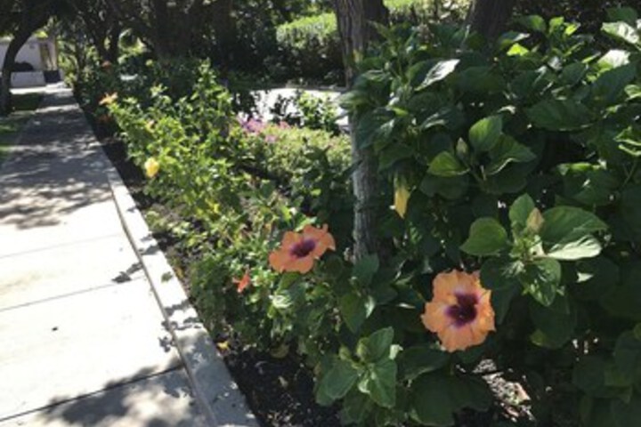 Property Grounds 19 of 23