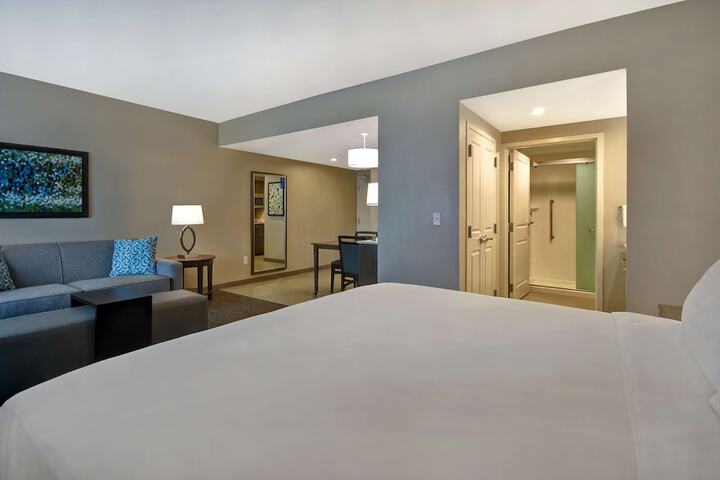 1 King Bed Studio Suite (5 of 20)