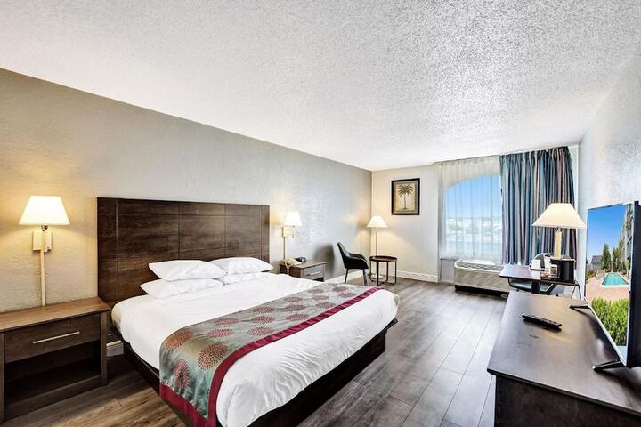 1 King Bed (8 of 19)