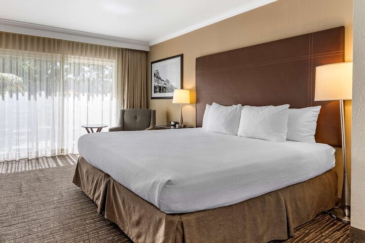 1 King Bed (9 of 10)