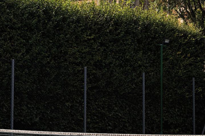 Tennis and Basketball Courts 40 of 78