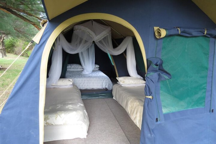 Room 6 of 33