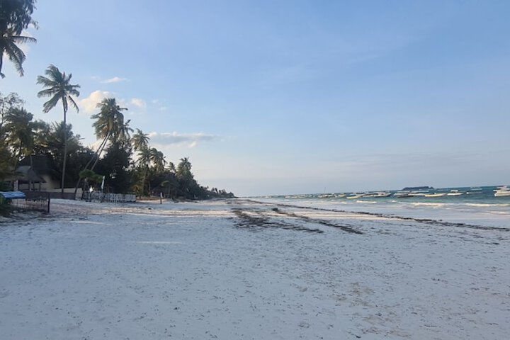 Beach 81 of 96