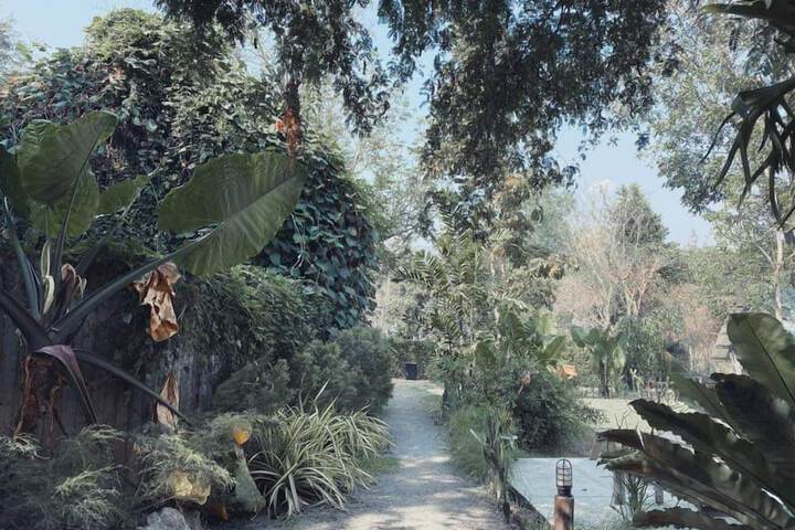 Rewild Camp & Cafe