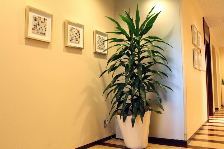 Lobby Entry