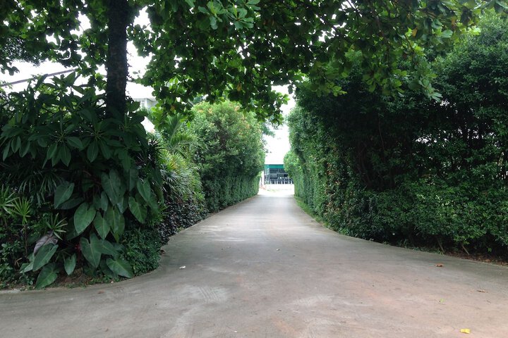 Property Grounds 8 of 11